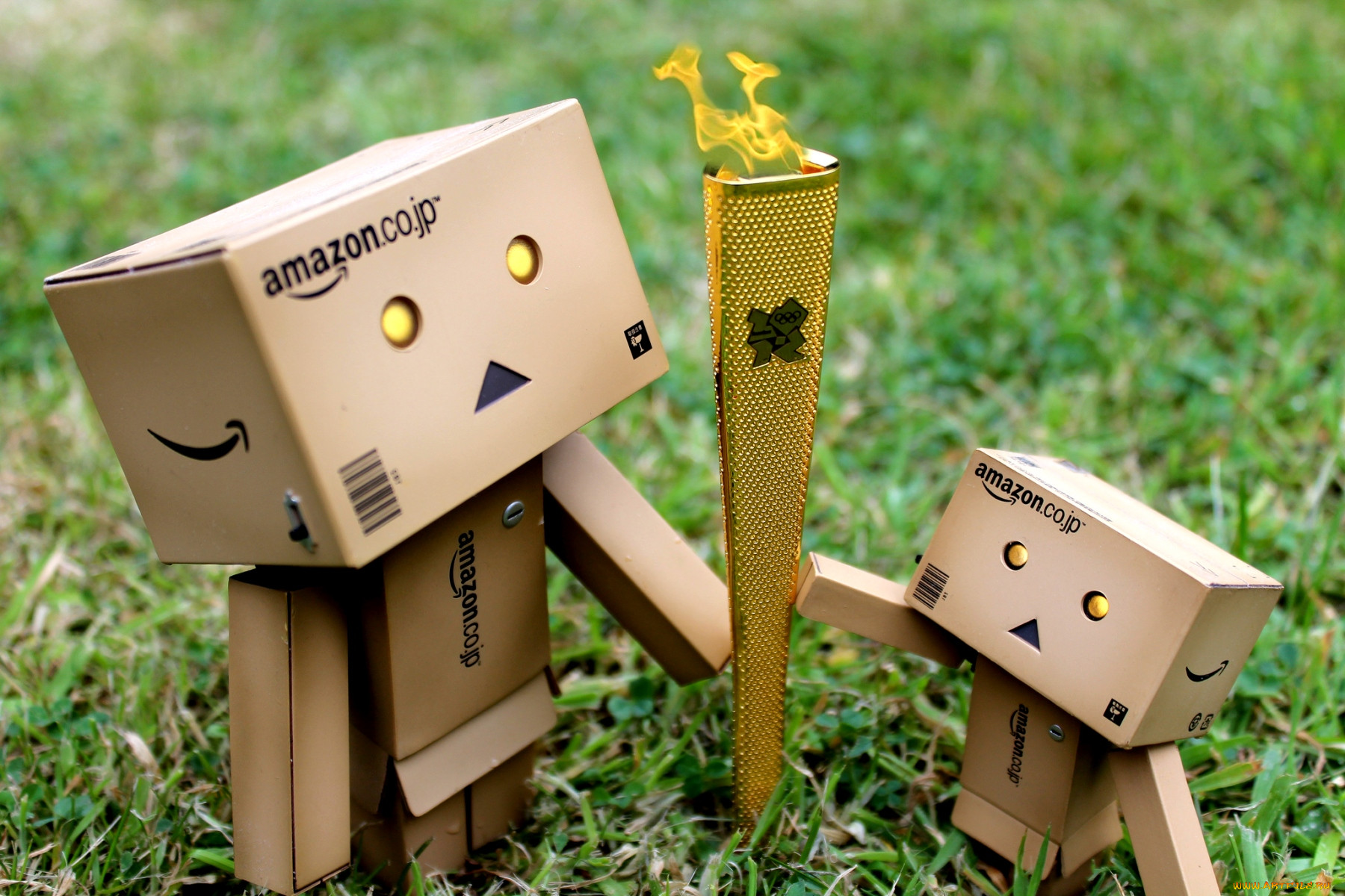 , , danboard, , , 